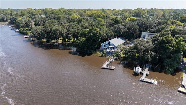 birds eye view of property with a water view and a view of trees