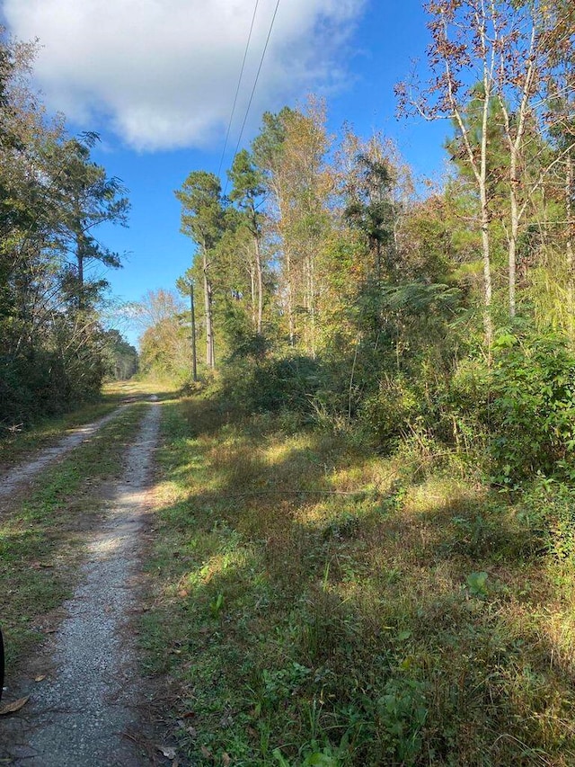 0 Lawyer Ln, Cross SC, 29436 land for sale