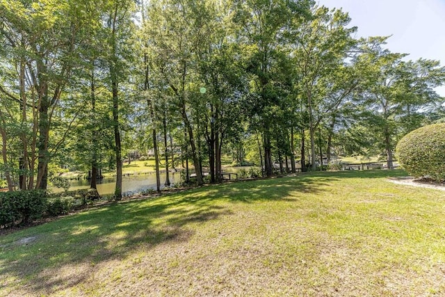 409 Santee Dr, Santee, SC 29142 - view of green lawn
