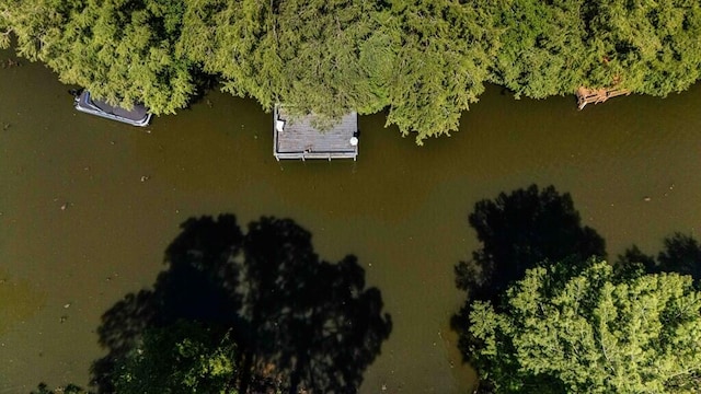 409 Santee Dr, Santee, SC 29142 - bird's eye view