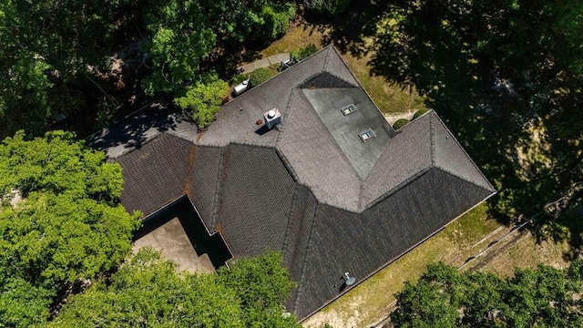 409 Santee Dr, Santee, SC 29142 - view from above of property