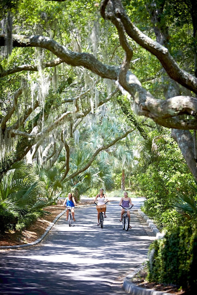 1376 Pelican Watch Villas, Seabrook Island, SC 29455 - view of community