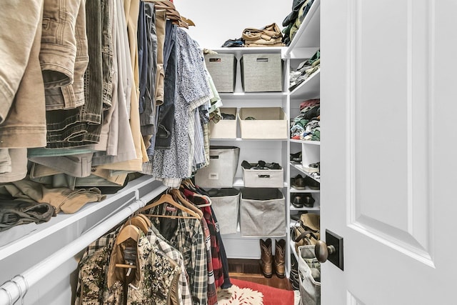 view of walk in closet