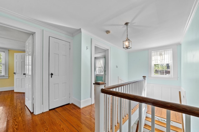 corridor with ornamental molding and hardwood / wood-style floors