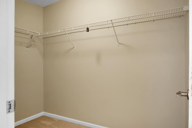 3632 Locklear Ln, Mount Pleasant, SC 29466 - spacious closet with light carpet