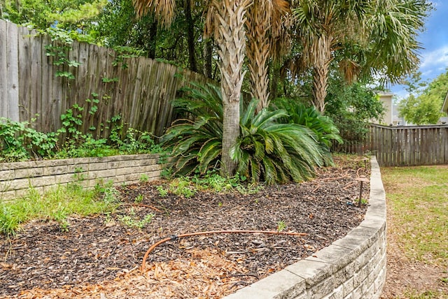 3632 Locklear Ln, Mount Pleasant, SC 29466 - view of fenced backyard