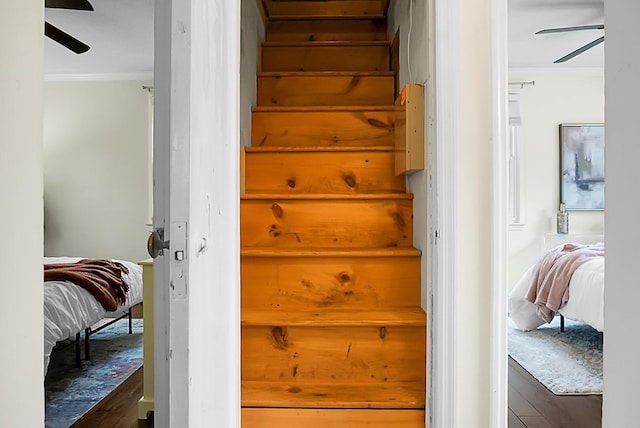4810 Parkside Dr, North Charleston, SC 29405 - stairs featuring ornamental molding, ceiling fan, and wood finished floors