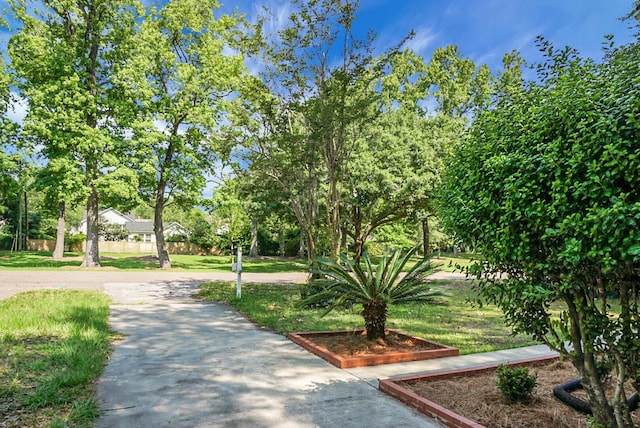 4810 Parkside Dr, North Charleston, SC 29405 - view of community featuring a yard and view of wooded area
