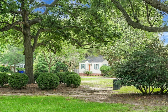4810 Parkside Dr, North Charleston, SC 29405 - view of yard
