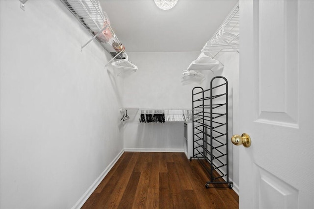 walk in closet with wood finished floors