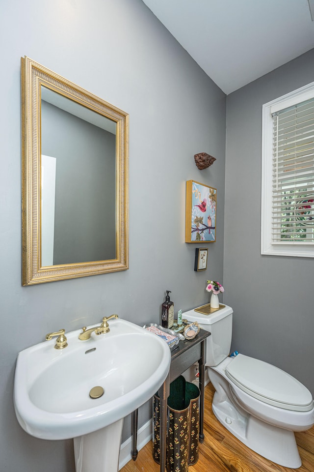 bathroom with hardwood / wood-style flooring, sink, and toilet