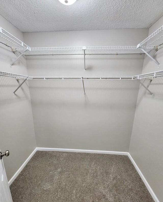 spacious closet with carpet