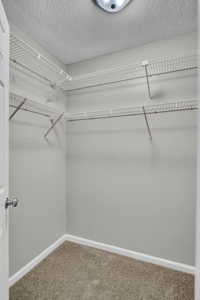 walk in closet with carpet