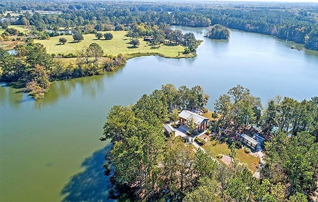 birds eye view of property featuring a water view and a forest view