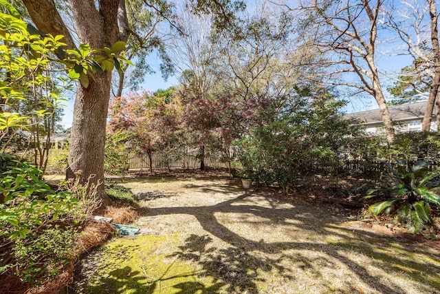 view of yard with fence