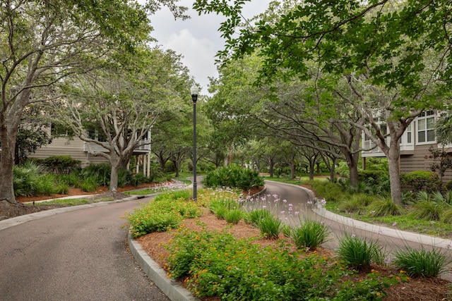 1532 Sea Palms Cres, Mount Pleasant, SC 29464 - view of road featuring street lighting and curbs