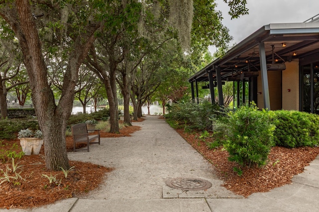 1532 Sea Palms Cres, Mount Pleasant, SC 29464 - view of property's community