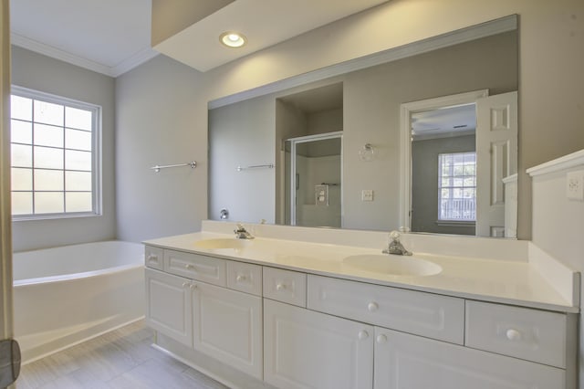 bathroom with vanity, a healthy amount of sunlight, crown molding, and a bath