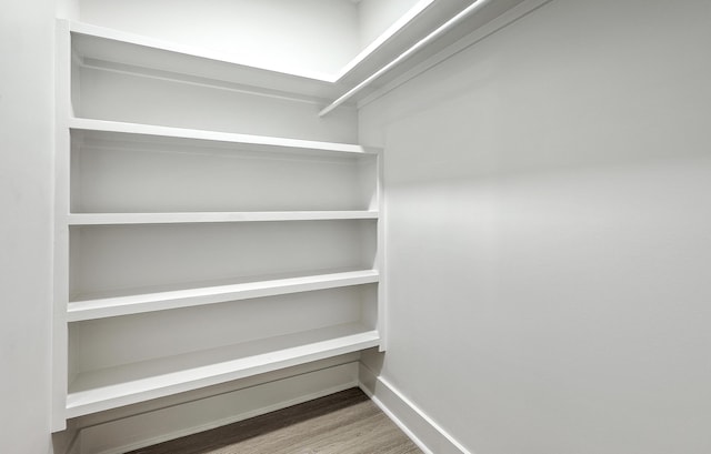 169 Southwold Cir, Goose Creek, SC 29445 - walk in closet with wood finished floors