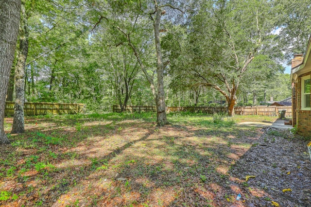 169 Southwold Cir, Goose Creek, SC 29445 - view of fenced backyard