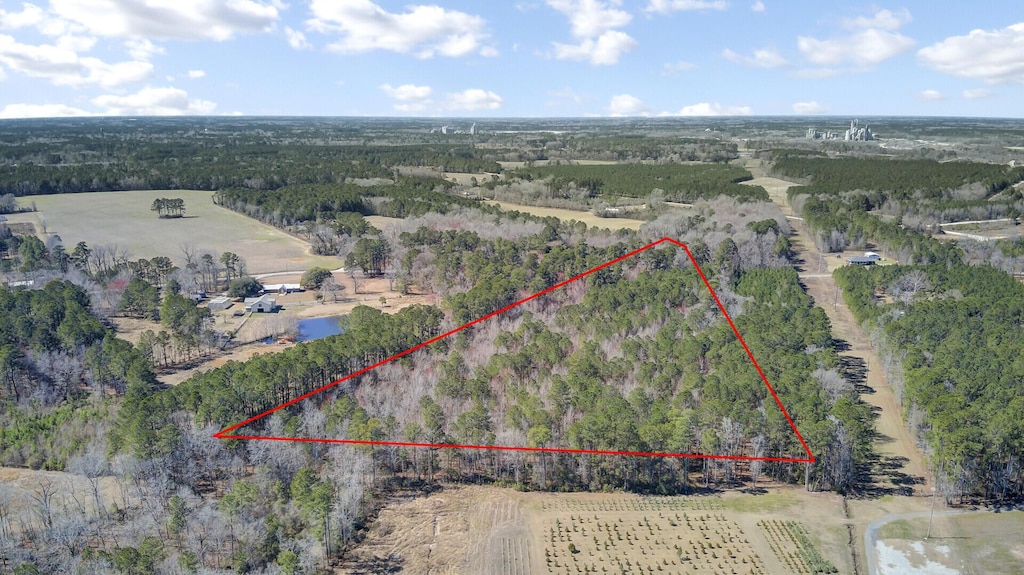 0 Hickory Nut Dr, Harleyville, SC 29448