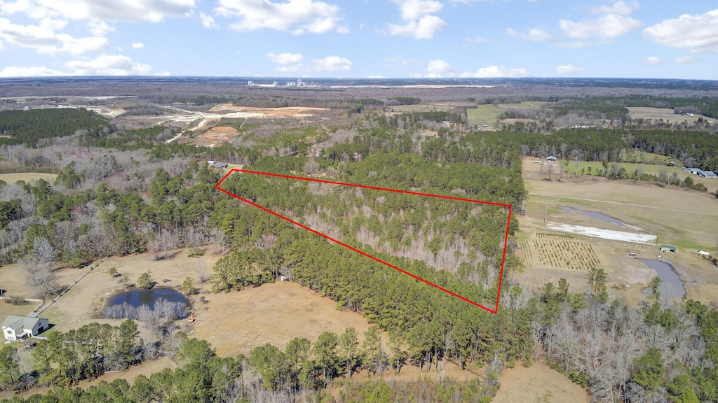 0 Hickory Nut Dr, Harleyville, SC 29448