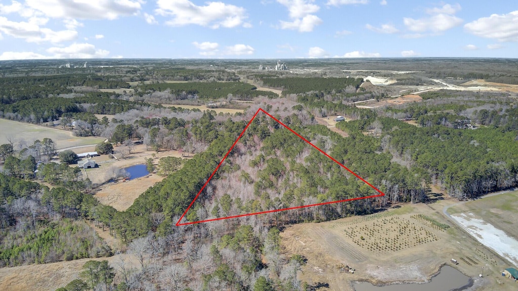 0 Hickory Nut Dr, Harleyville, SC 29448