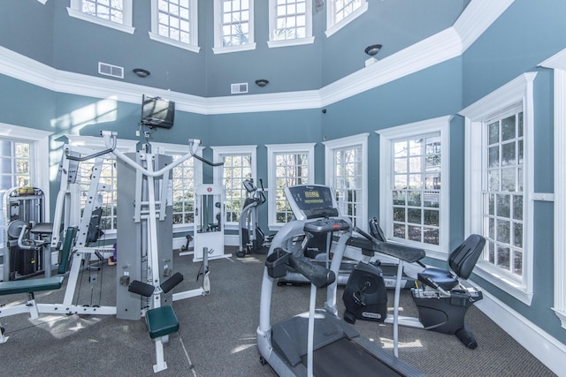 exercise room with a towering ceiling, plenty of natural light, and crown molding