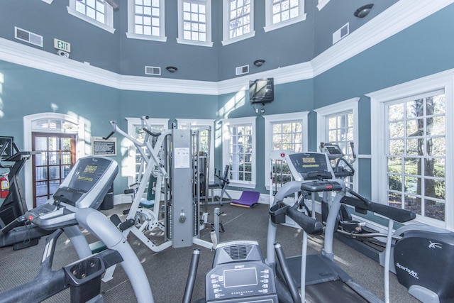 workout area featuring a high ceiling, plenty of natural light, and crown molding