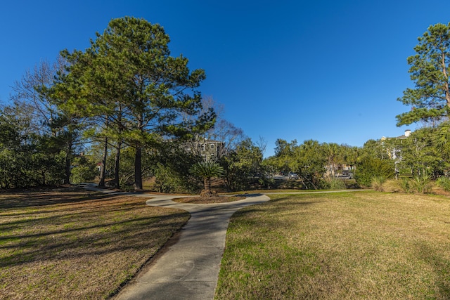 view of community featuring a lawn