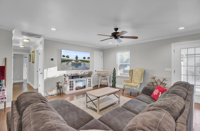 living room featuring hardwood / wood-style flooring, ceiling fan, and crown molding