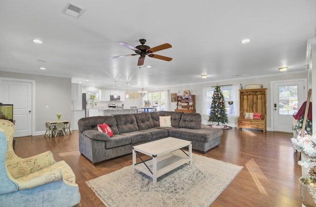 living room with a healthy amount of sunlight, dark hardwood / wood-style floors, and crown molding