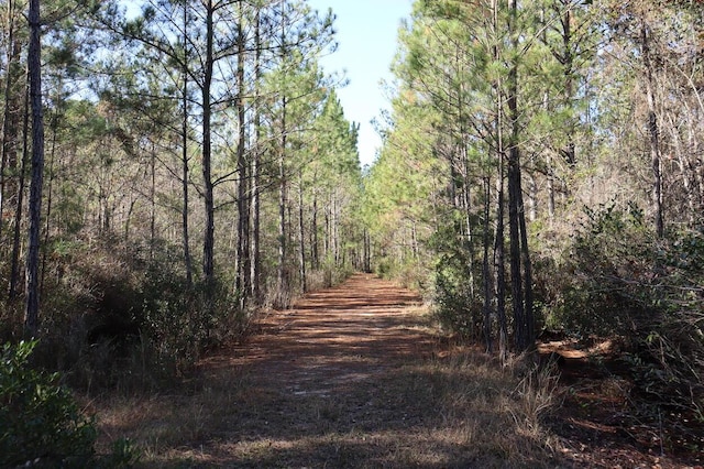 0 Misty Ridge Ln, Walterboro SC, 29488 land for sale