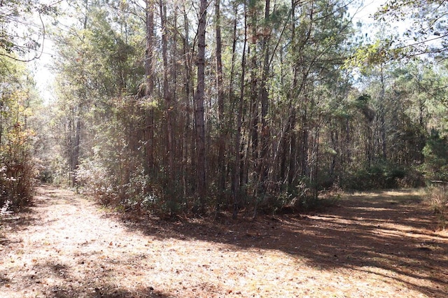 Listing photo 2 for 0 Misty Ridge Ln, Walterboro SC 29488