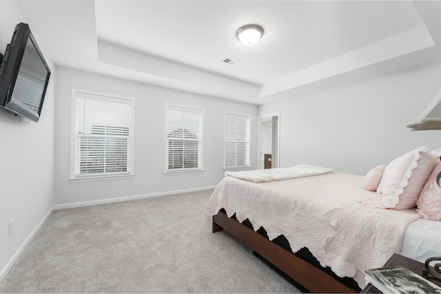 carpeted bedroom with a raised ceiling