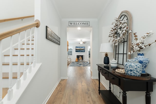 hallway featuring hardwood / wood-style floors and crown molding