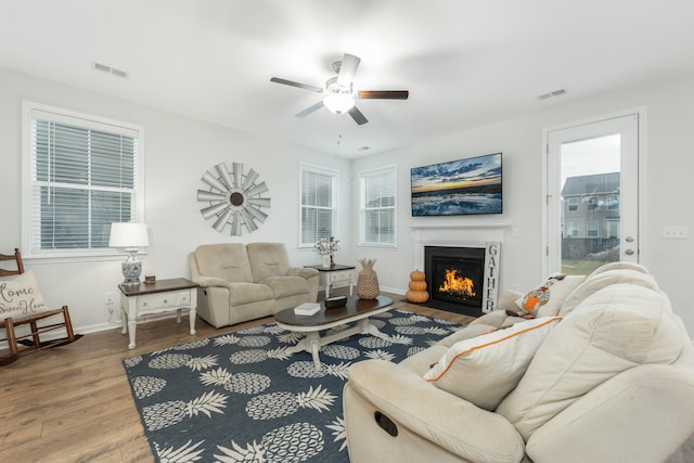 living room with ceiling fan and hardwood / wood-style floors