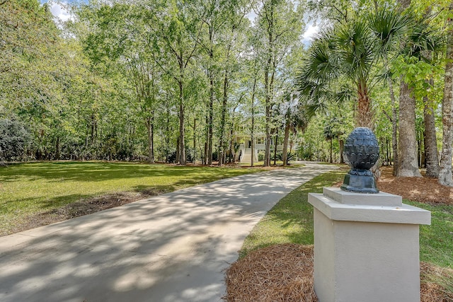 surrounding community with a yard