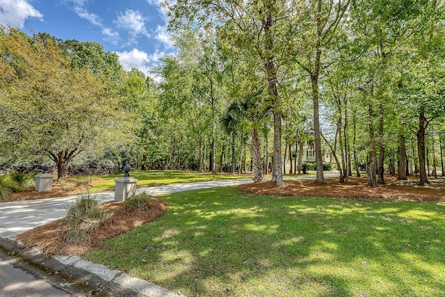 view of property's community with a yard