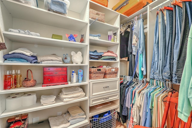 405 Decatur Dr, Summerville, SC 29486 - view of spacious closet