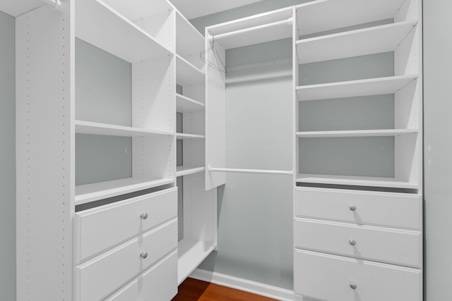walk in closet featuring dark wood-style floors