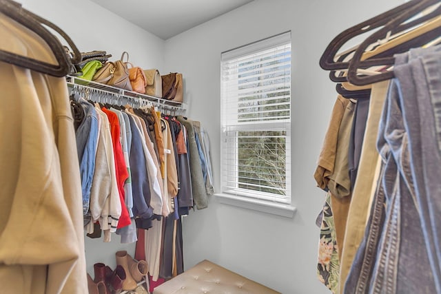 view of spacious closet