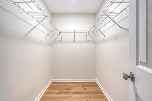 spacious closet featuring wood finished floors