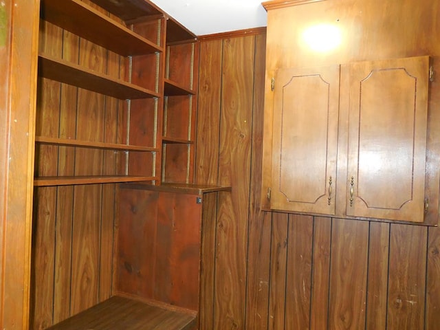 spacious closet with dark hardwood / wood-style floors