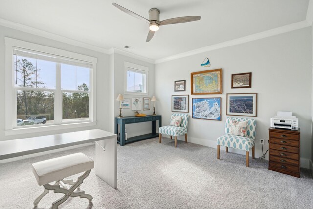 carpeted office with ceiling fan and ornamental molding