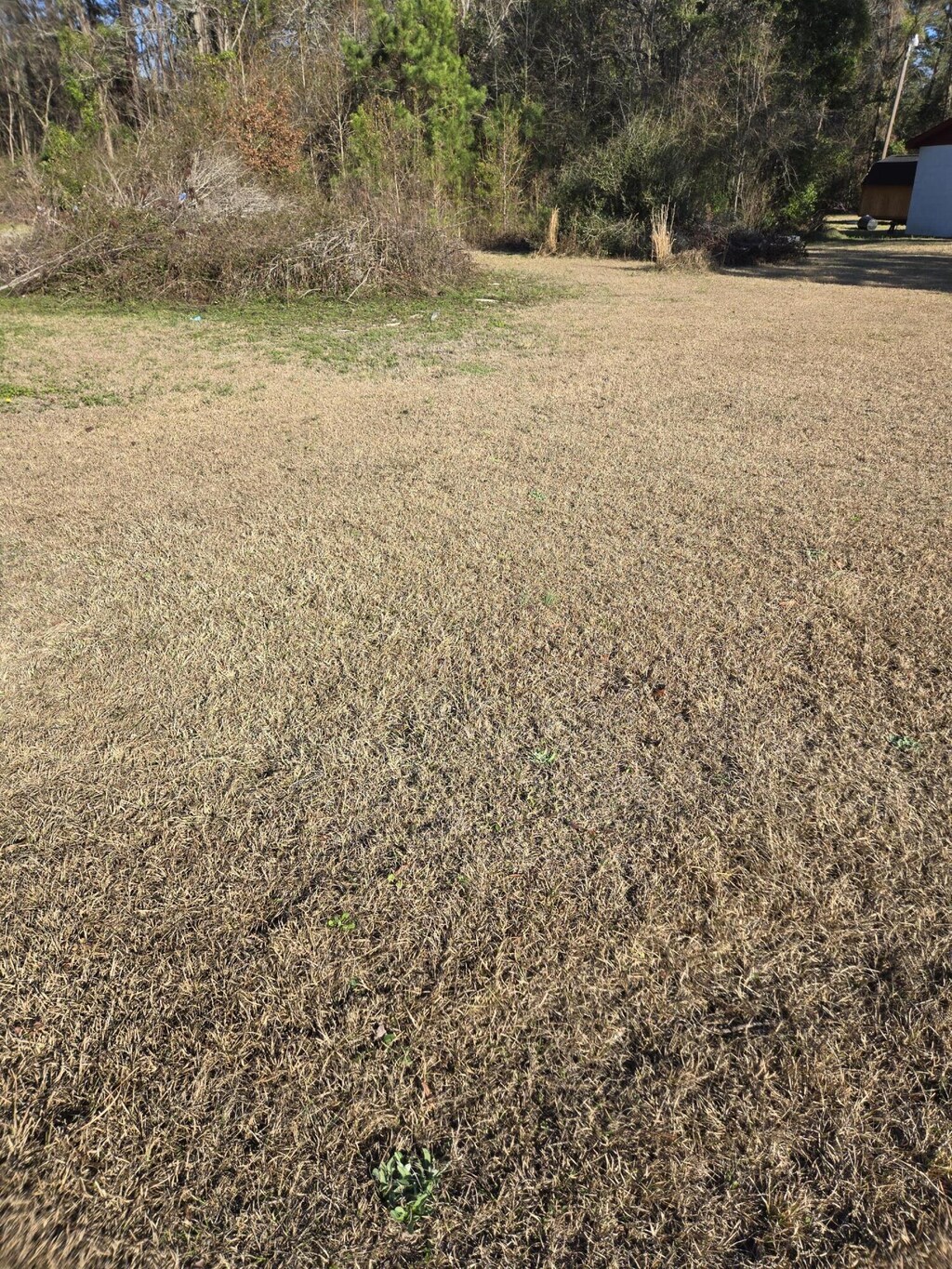 0 Bass Dr, Holly Hill, SC 29059