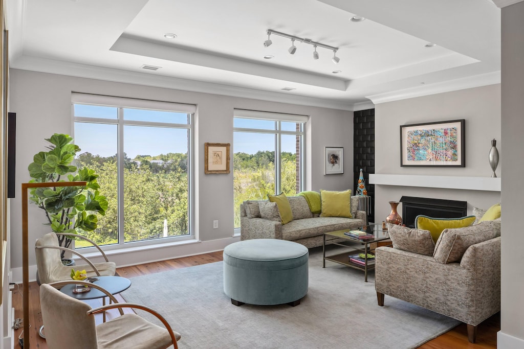 living room with hardwood / wood-style flooring, ornamental molding, and a tray ceiling