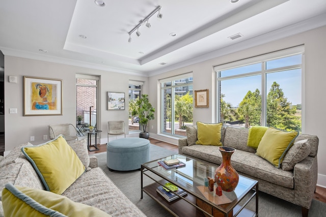 living room featuring rail lighting, a tray ceiling, dark hardwood / wood-style floors, and crown molding