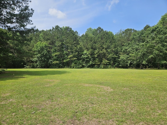 141 Woodlake Dr, Manning, SC 29102