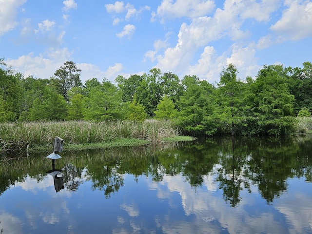 141 Woodlake Dr, Manning, SC 29102